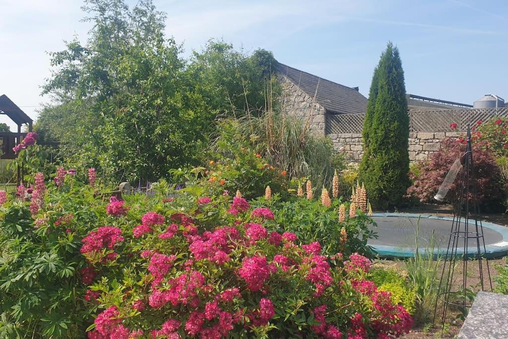 Grove Cottage At The Lodge ทัลโลว ภายนอก รูปภาพ